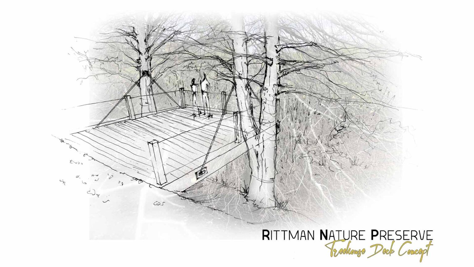 Landscape Architecture » Wallace Pancher Group Inc